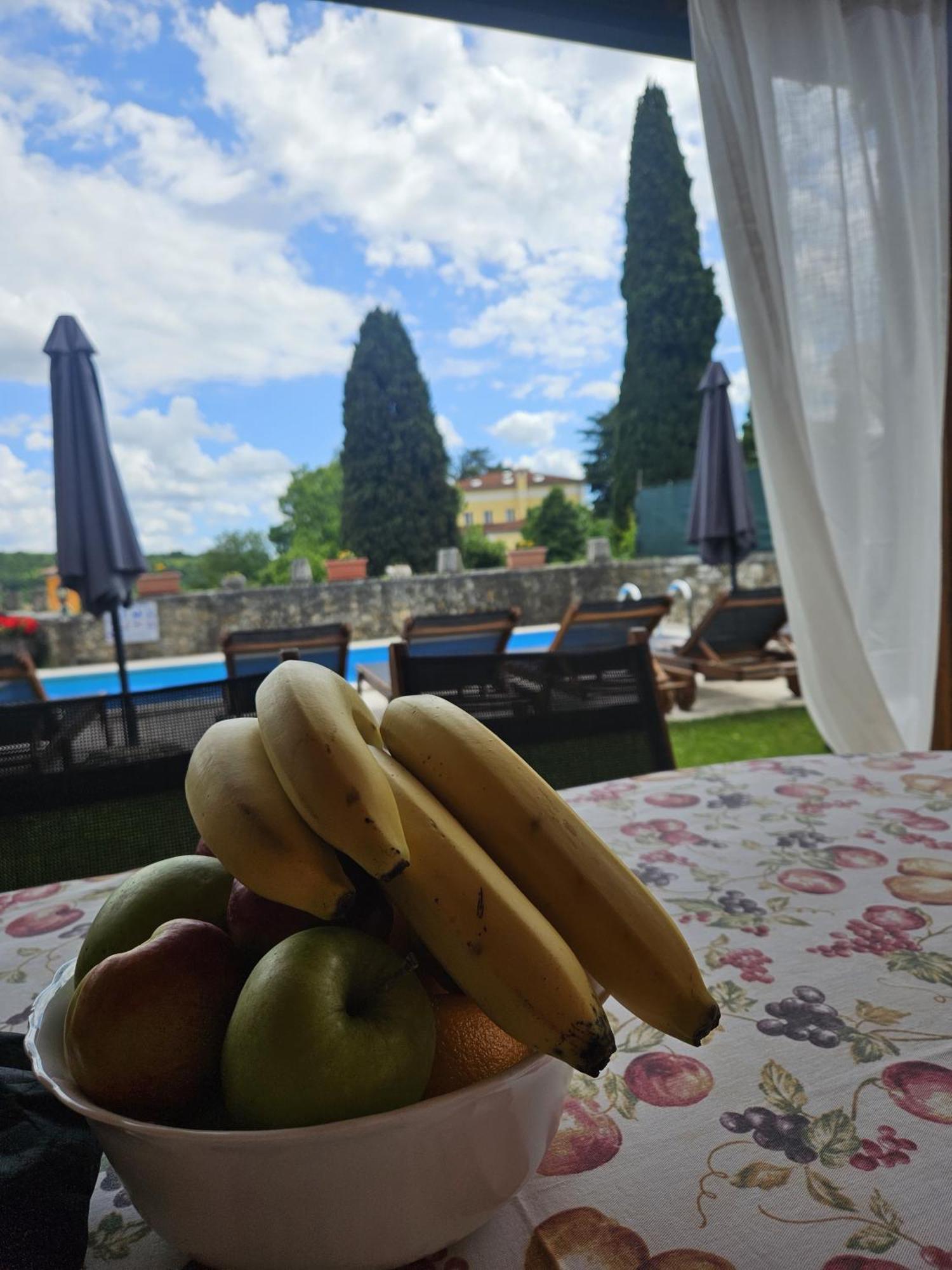 Villa Letizia Oprtalj Kültér fotó